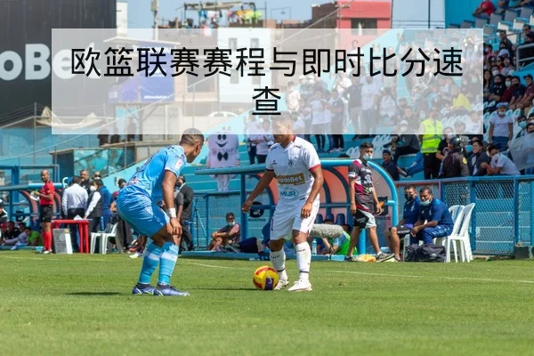 欧篮联赛赛程与即时比分速查